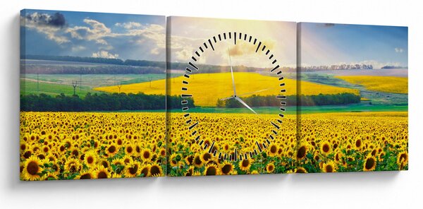 Obraz - Pole Slunečnic (s hodinami) (90x30 cm)