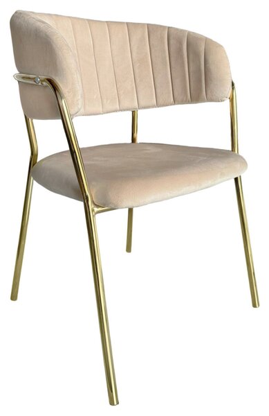 Designové jídelní křeslo Dasmin 1 New (béžová + zlatá)