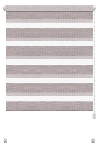 Taupe roleta den a noc 42,5x150 cm Zebra Silvalin – Gardinia
