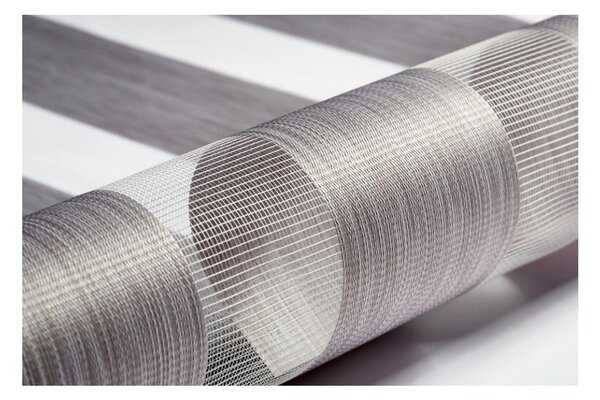 Taupe roleta den a noc 42,5x150 cm Zebra Silvalin – Gardinia