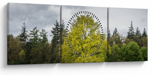 Obraz zeleného stromu uprostřed pole (s hodinami) (90x30 cm)