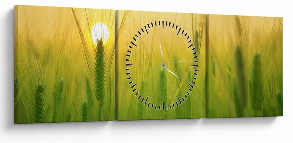 Obraz pole s obilím (s hodinami) (90x30 cm)