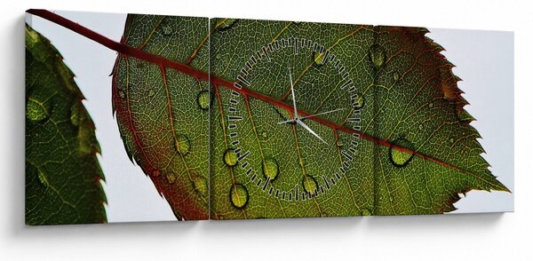 Obraz - List růže (s hodinami) (90x30 cm)