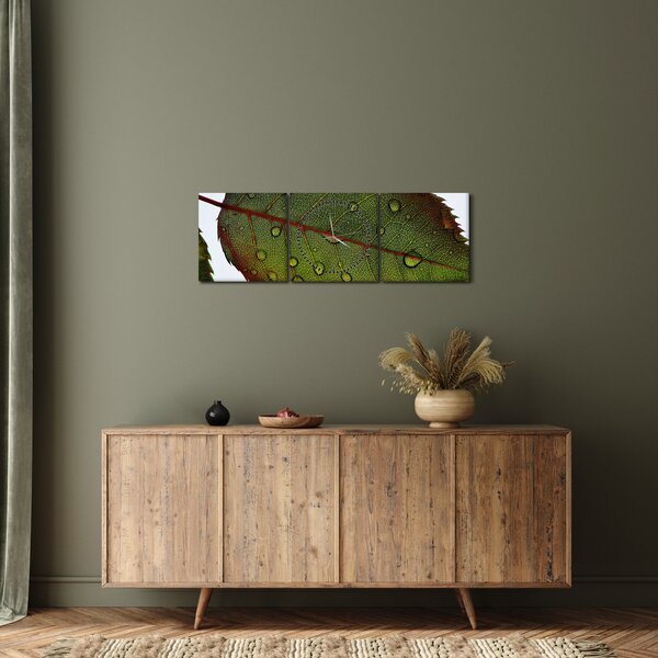 Obraz - List růže (s hodinami) (90x30 cm)