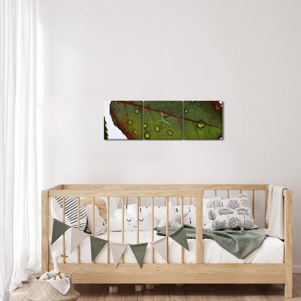 Obraz - List růže (s hodinami) (90x30 cm)