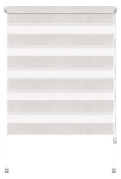 Bílá roleta den a noc 68x215 cm Zebra – Gardinia