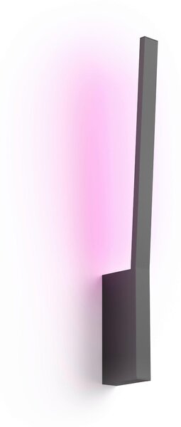 NÁSTĚNNÉ LED SVÍTIDLO, 23,7/19,2/62,3 cm Philips HUE - Online Only svítidla, Online Only