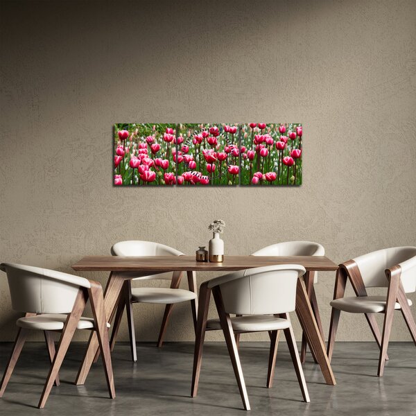 Obraz tulipánů (s hodinami) (90x30 cm)