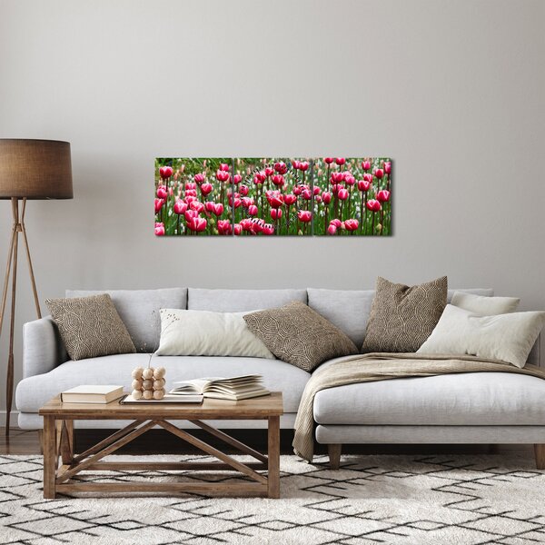 Obraz tulipánů (s hodinami) (90x30 cm)