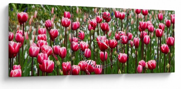 Obraz tulipánů (s hodinami) (90x30 cm)