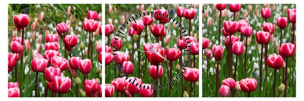 Obraz tulipánů (s hodinami) (90x30 cm)