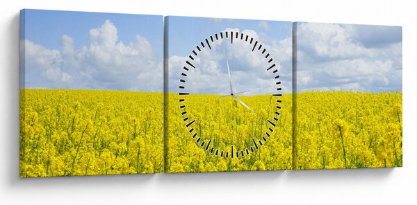 Obraz žlutého pole (s hodinami) (90x30 cm)