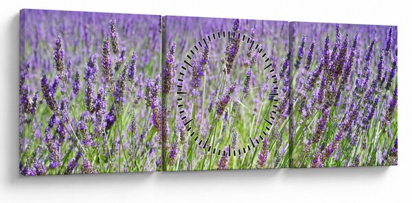 Obraz pole s levandulemi (s hodinami) (90x30 cm)