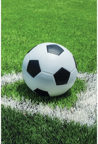 Zelená fleecová dětská deka 100x150 cm Football – Jerry Fabrics