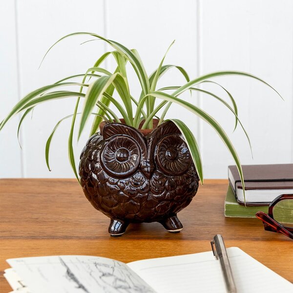 Keramický obal na květináč ø 11 cm Owl – Rex London
