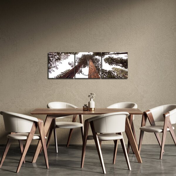 Obraz - Pohled skrz koruny stromů (s hodinami) (90x30 cm)