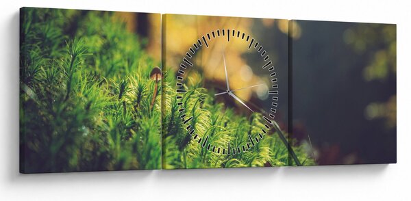 Obraz mechu s houbou (s hodinami) (90x30 cm)