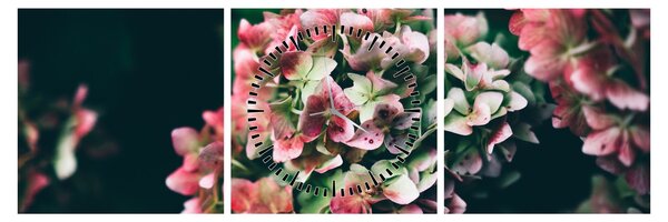 Obraz - Detail Hortenzie (s hodinami) (90x30 cm)