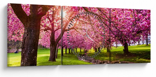 Obraz rozkvetlých třešní, Hurd Park, Dover, New Jersey (s hodinami) (90x30 cm)