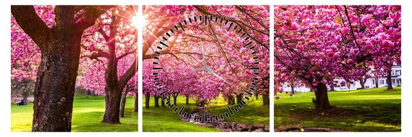 Obraz rozkvetlých třešní, Hurd Park, Dover, New Jersey (s hodinami) (90x30 cm)