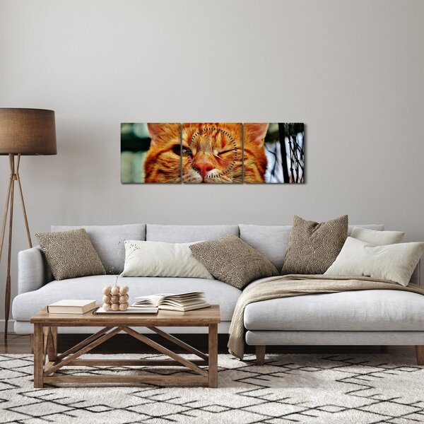 Obraz mrkající kočky (s hodinami) (90x30 cm)