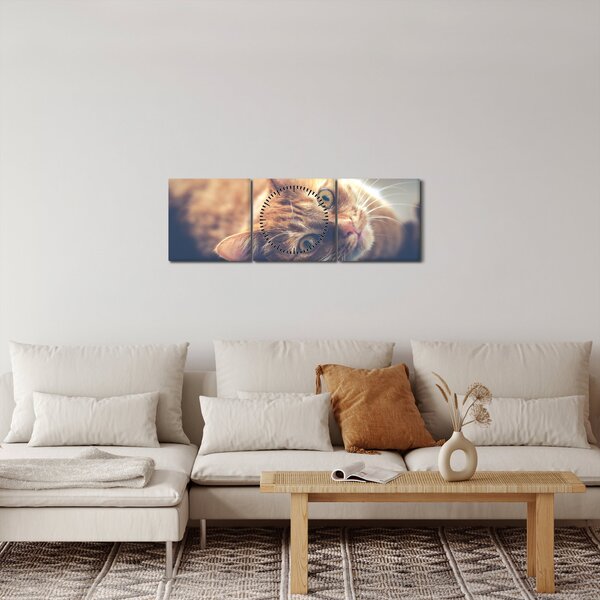 Obraz kočky na podlaze (s hodinami) (90x30 cm)