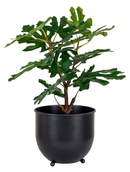Umělá rostlina (výška 60 cm) Fig – House Nordic