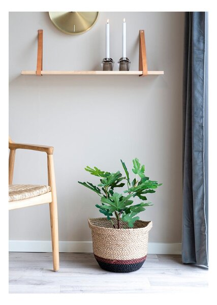 Umělá rostlina (výška 60 cm) Fig – House Nordic