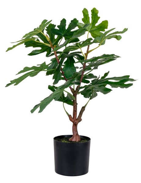 Umělá rostlina (výška 60 cm) Fig – House Nordic