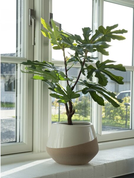 Umělá rostlina (výška 60 cm) Fig – House Nordic
