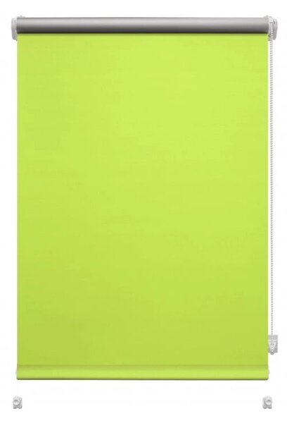 Světle zelená roleta 42,5x150 cm Mini Termo – Gardinia