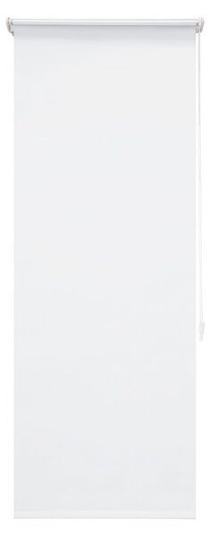 Livarno Home Termo roleta na okna (60 x 150 cm, bílá) (100346102005)