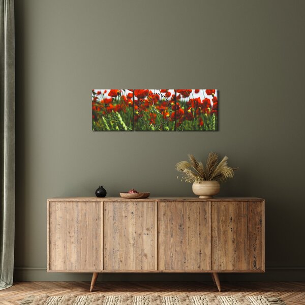 Obraz vlčích máků ve větru (s hodinami) (90x30 cm)
