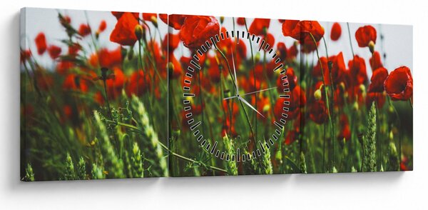Obraz vlčích máků ve větru (s hodinami) (90x30 cm)