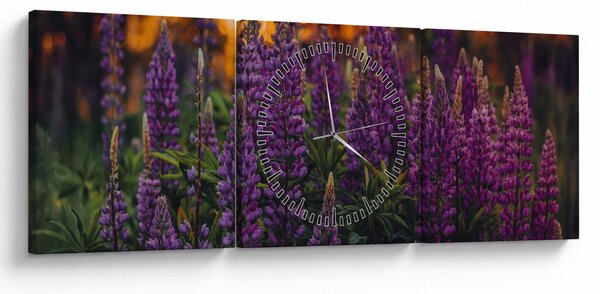 Obraz květů vlčího bobu (s hodinami) (90x30 cm)