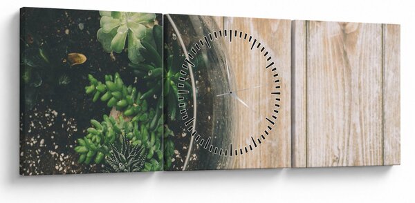 Obraz sukulentů ve skle (s hodinami) (90x30 cm)