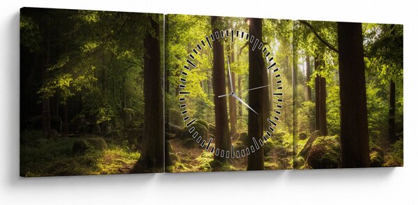 Obraz snového lesa (s hodinami) (90x30 cm)