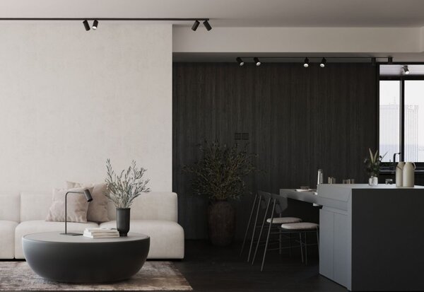 Nowodvorski Lighting Mono stropní světlo 6x10 W černá 7722