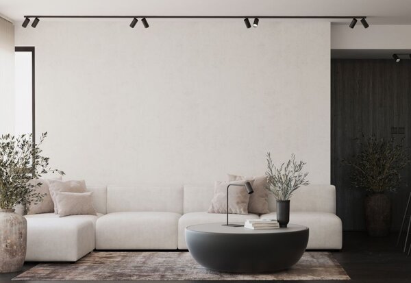 Nowodvorski Lighting Mono stropní světlo 6x10 W černá 7722