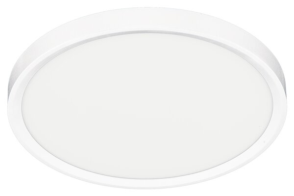 Stropní LED svítidlo Maq, 1x LED 24w, 3000-6500k, w