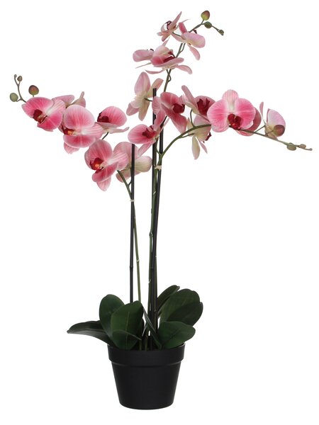 ORCHIDEJ 79 cm - Umělé květiny