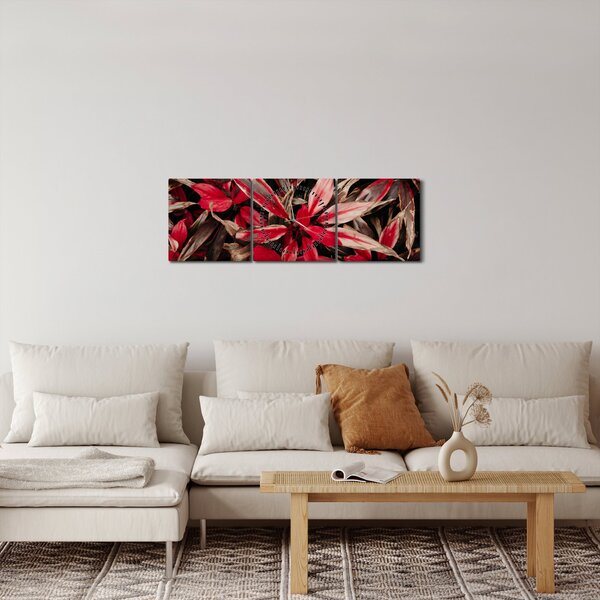 Obraz červených okvětních lístků (s hodinami) (90x30 cm)