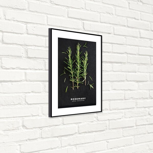 Obraz 50x70 cm Rosemary – Styler