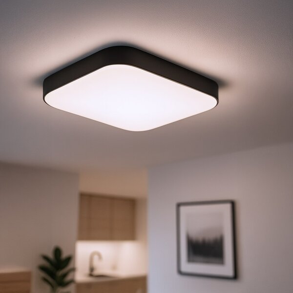 Stropní LED svítidlo Nemo, 1x LED 11w, 4000k, b