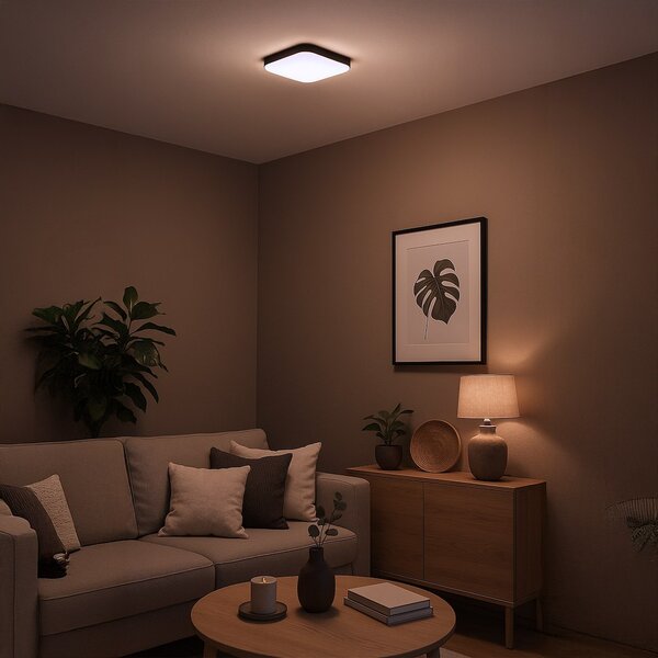 Stropní LED svítidlo Nemo, 1x LED 11w, 4000k, b