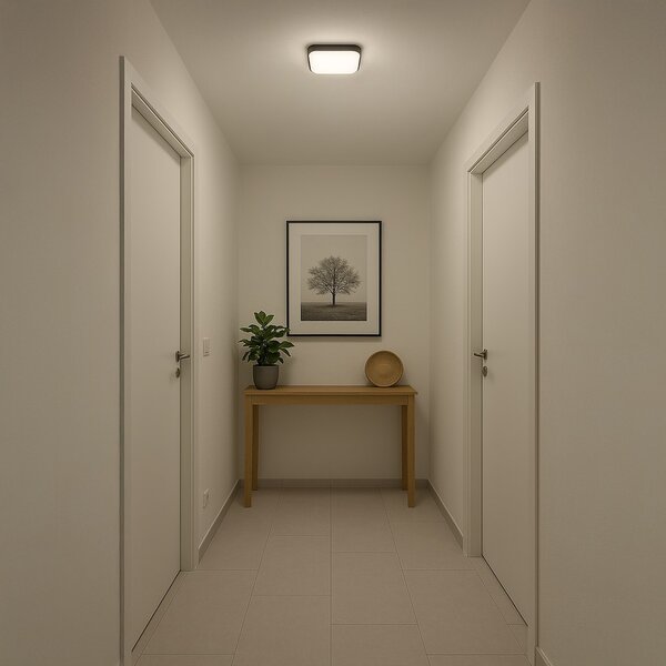 Stropní LED svítidlo Nemo, 1x LED 11w, 4000k, b