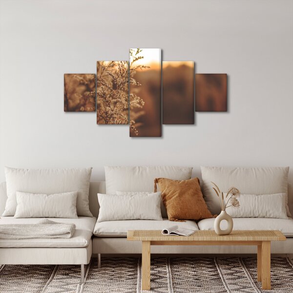 Obraz kvetoucí trávy (125x70 cm)