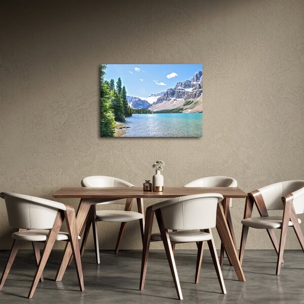 Obraz Alpského jezera (70x50 cm)
