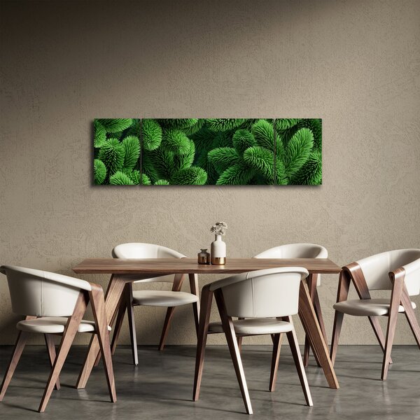 Obraz - Větvičky jehličnanu (170x50 cm)