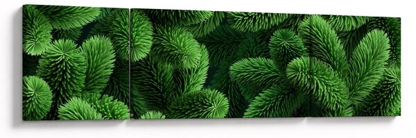 Obraz - Větvičky jehličnanu (170x50 cm)